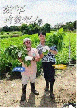 免费看电影 乘风破浪